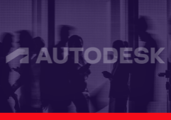 Guest Insight Dimea (4)